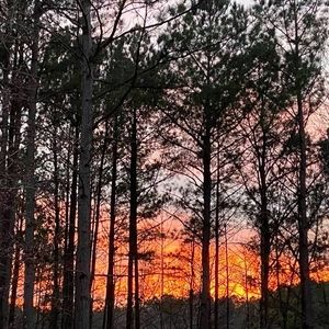 Meet your Posher, J. ann